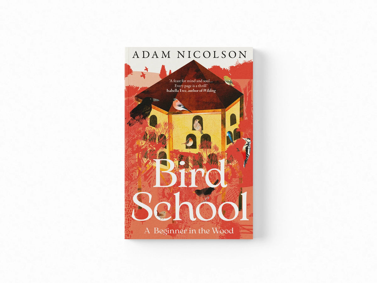 Bird School