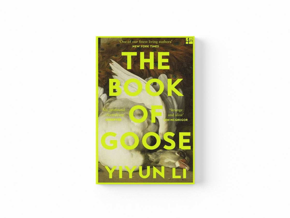The Book of Goose Paperback / softback