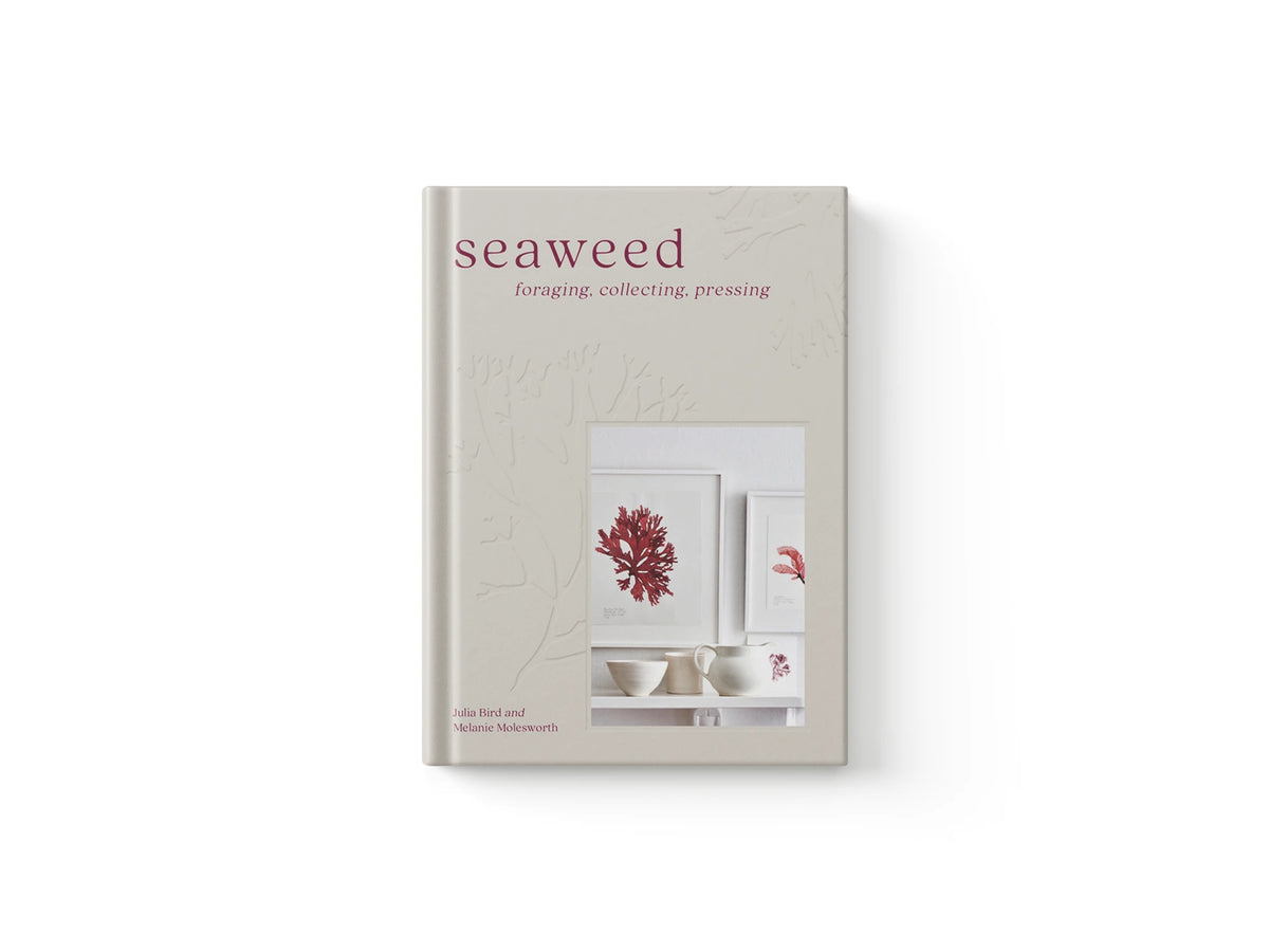 Seaweed