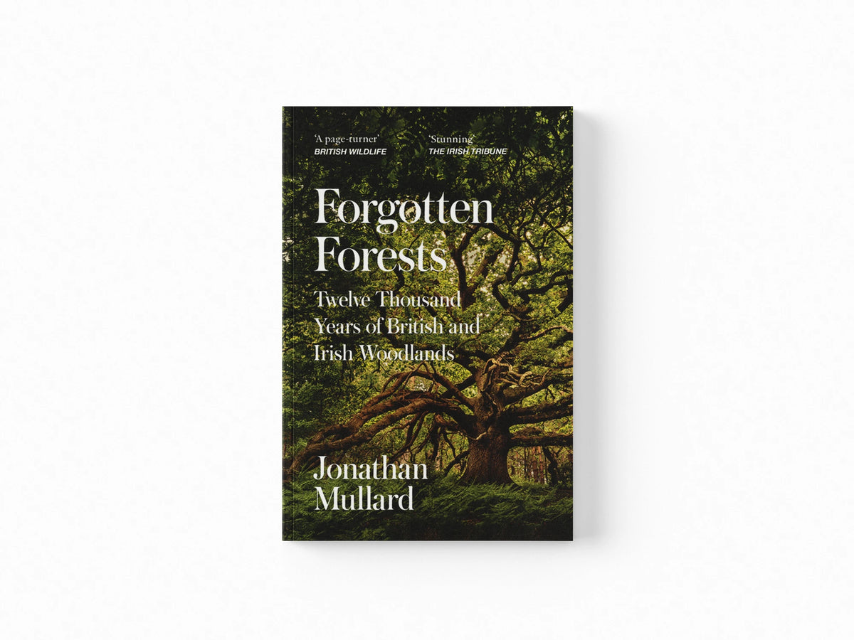 Forgotten Forests