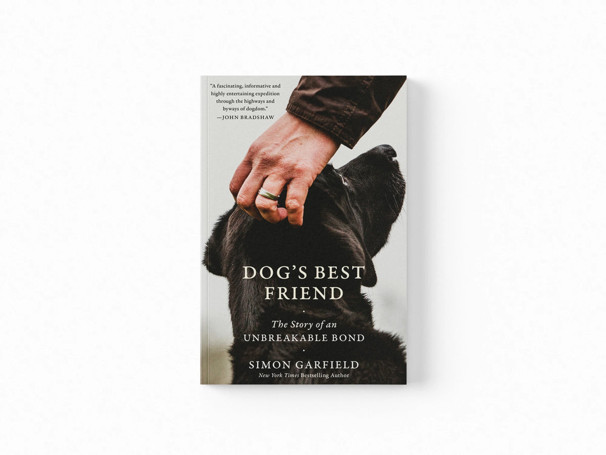 Dog's Best Friend