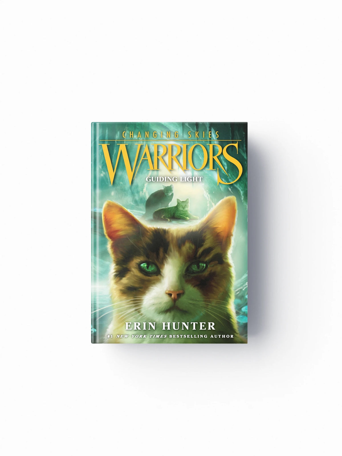 Warriors: Changing Skies #4: Guiding Light