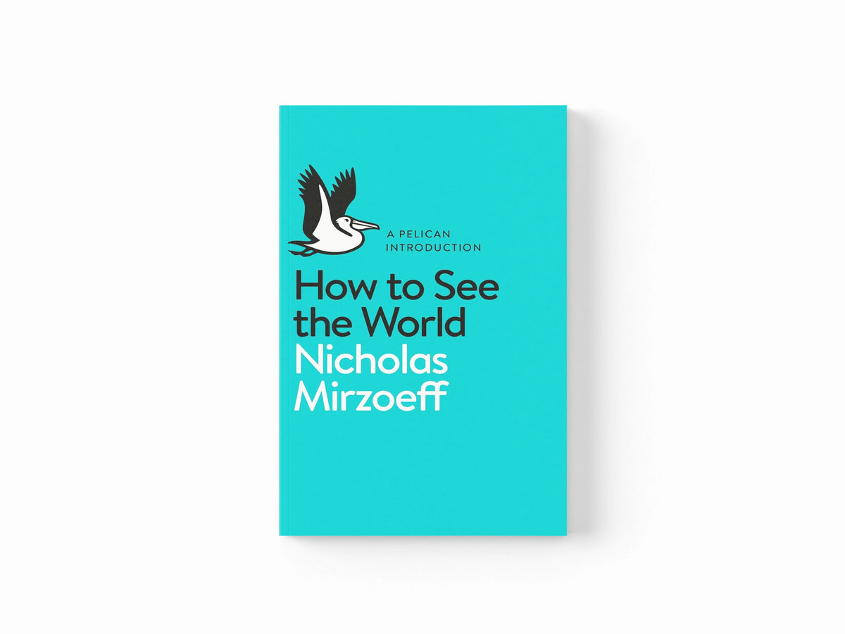 How to See the World by Nicholas Mirzoeff; 9780141977409