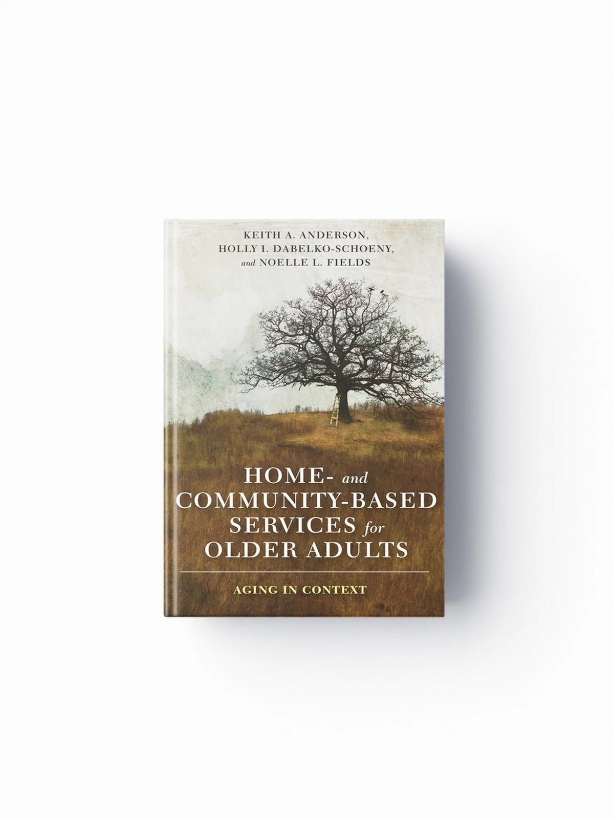 Home- And Community-Based Services for Older Adults