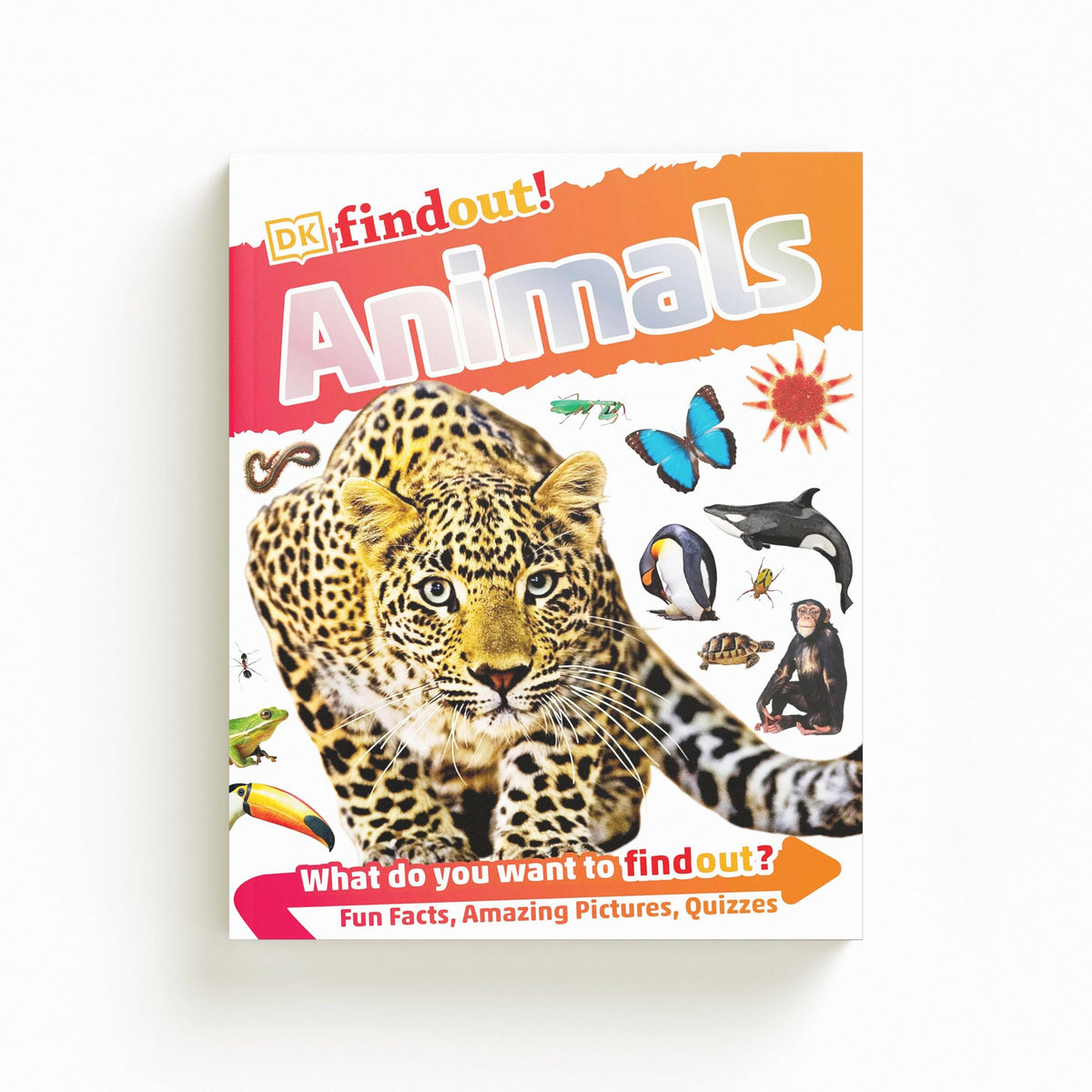 DKfindout! Animals by Dorling Kindersley Ltd; 9780241250259
