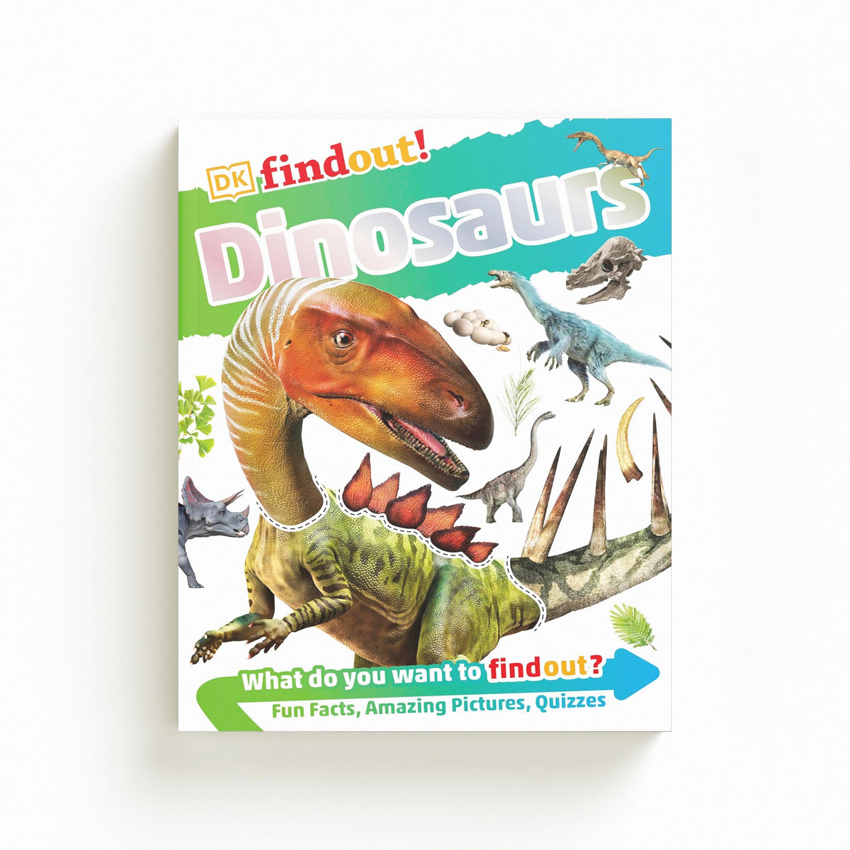 DKfindout! Dinosaurs by DK; 9780241250266