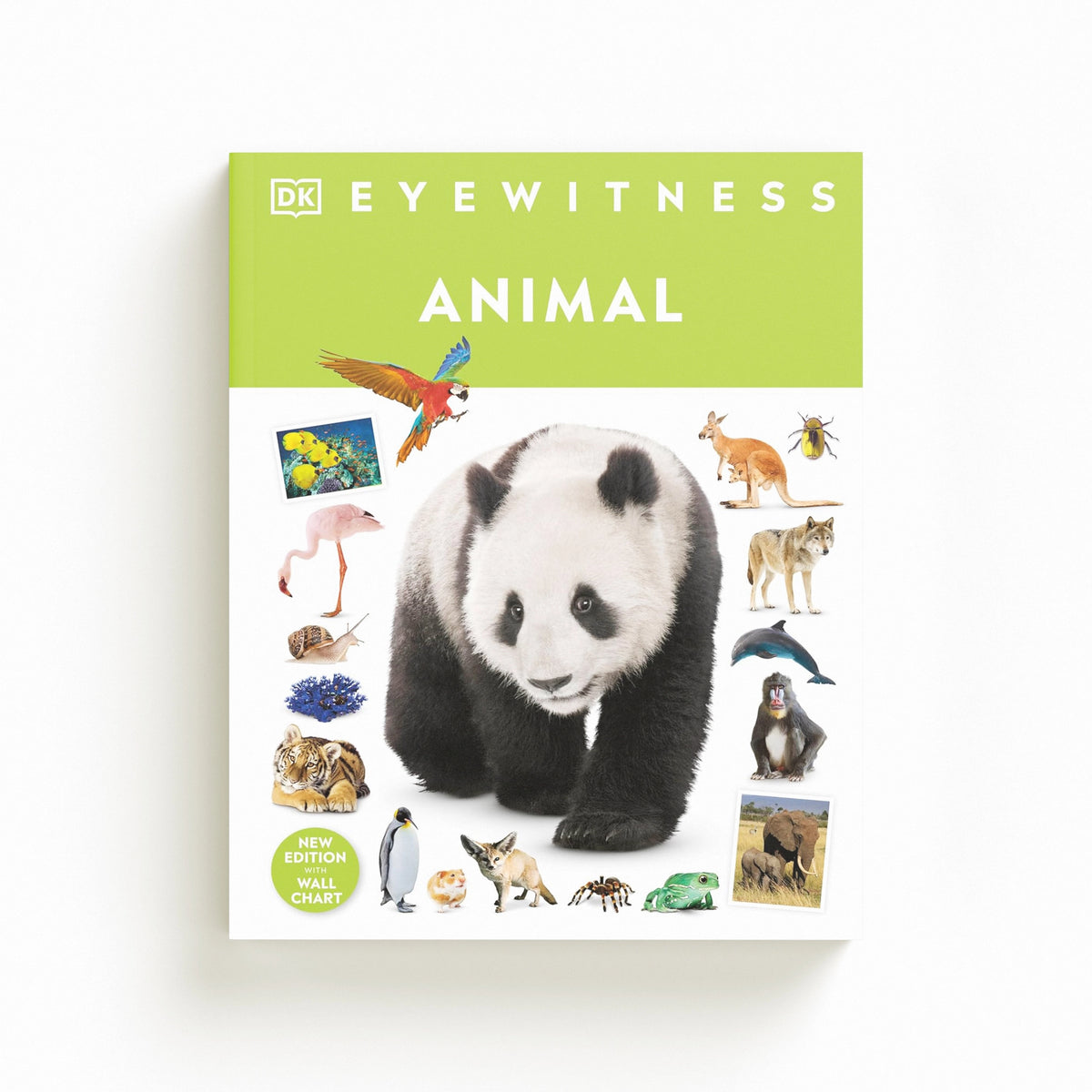 Animal by DK; 9780241383926