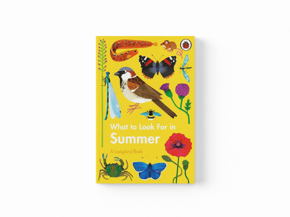 What to Look For in Summer
