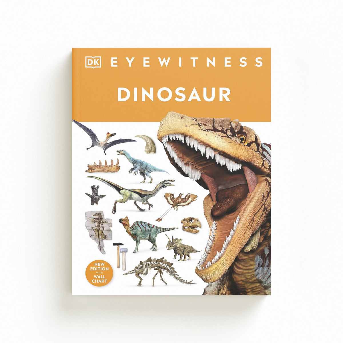 Dinosaur by DK; 9780241507193