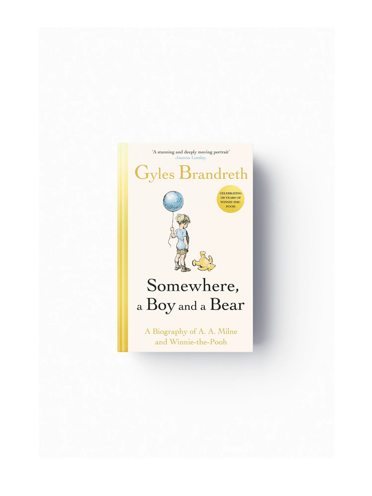 Somewhere, a Boy and a Bear