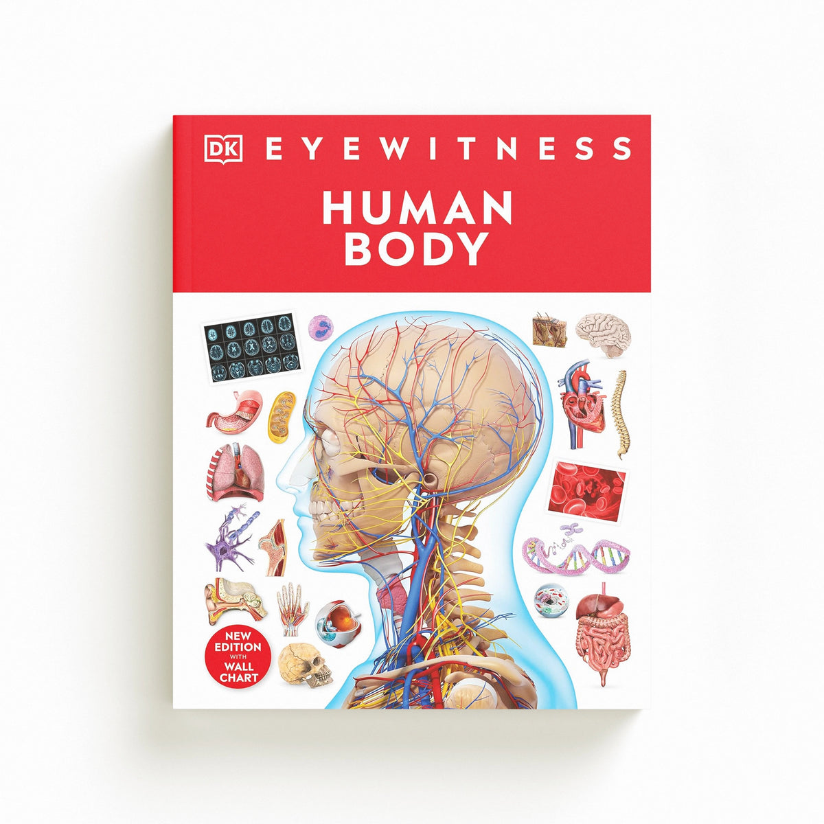 Human Body by DK; 9780241617175