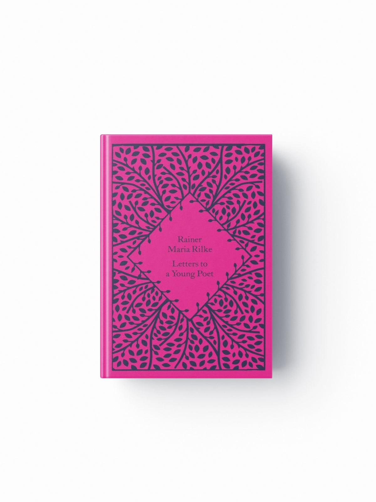 Letters to a Young Poet Hardback
