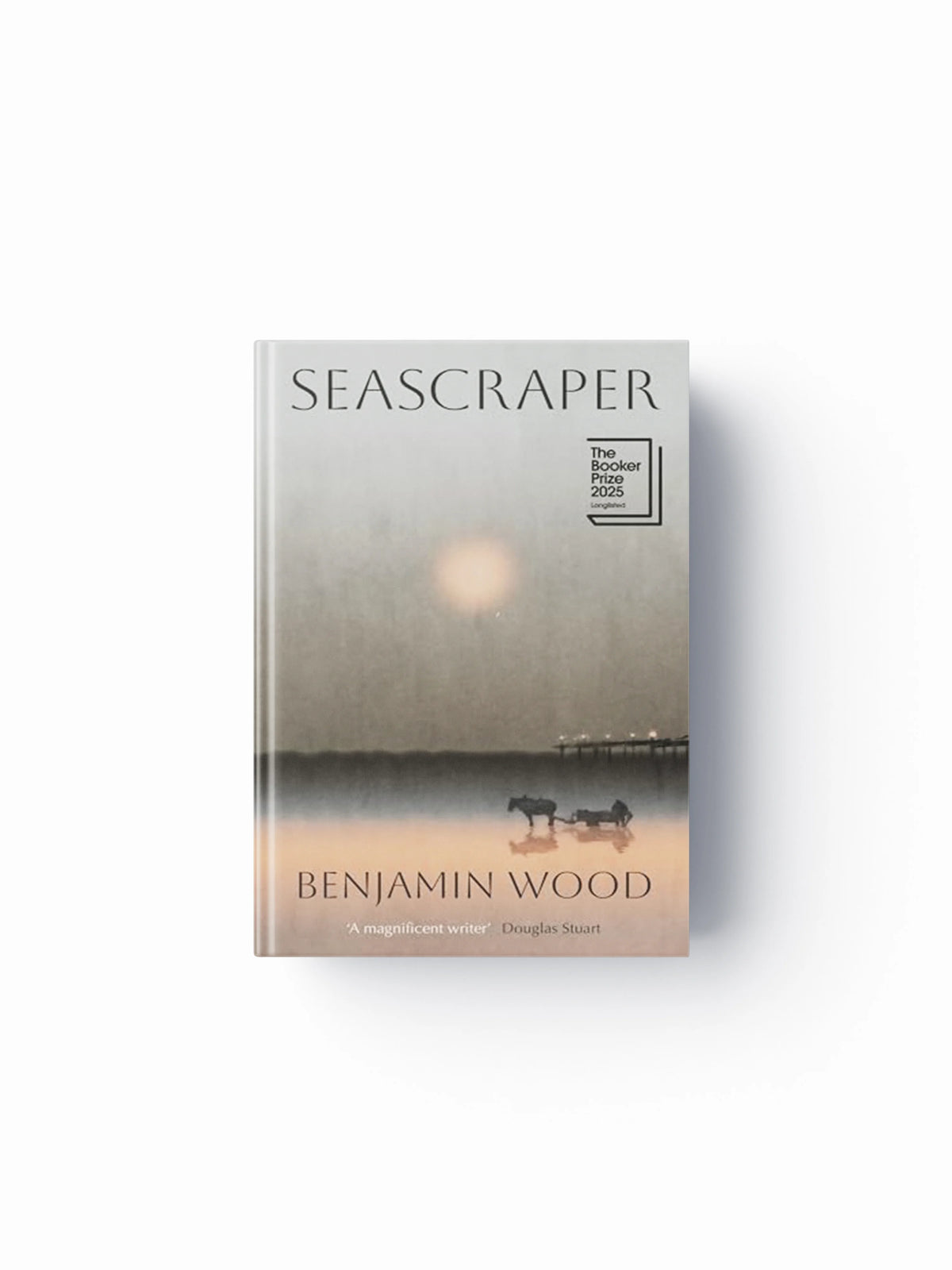 Seascraper by Benjamin Wood; 9780241741344