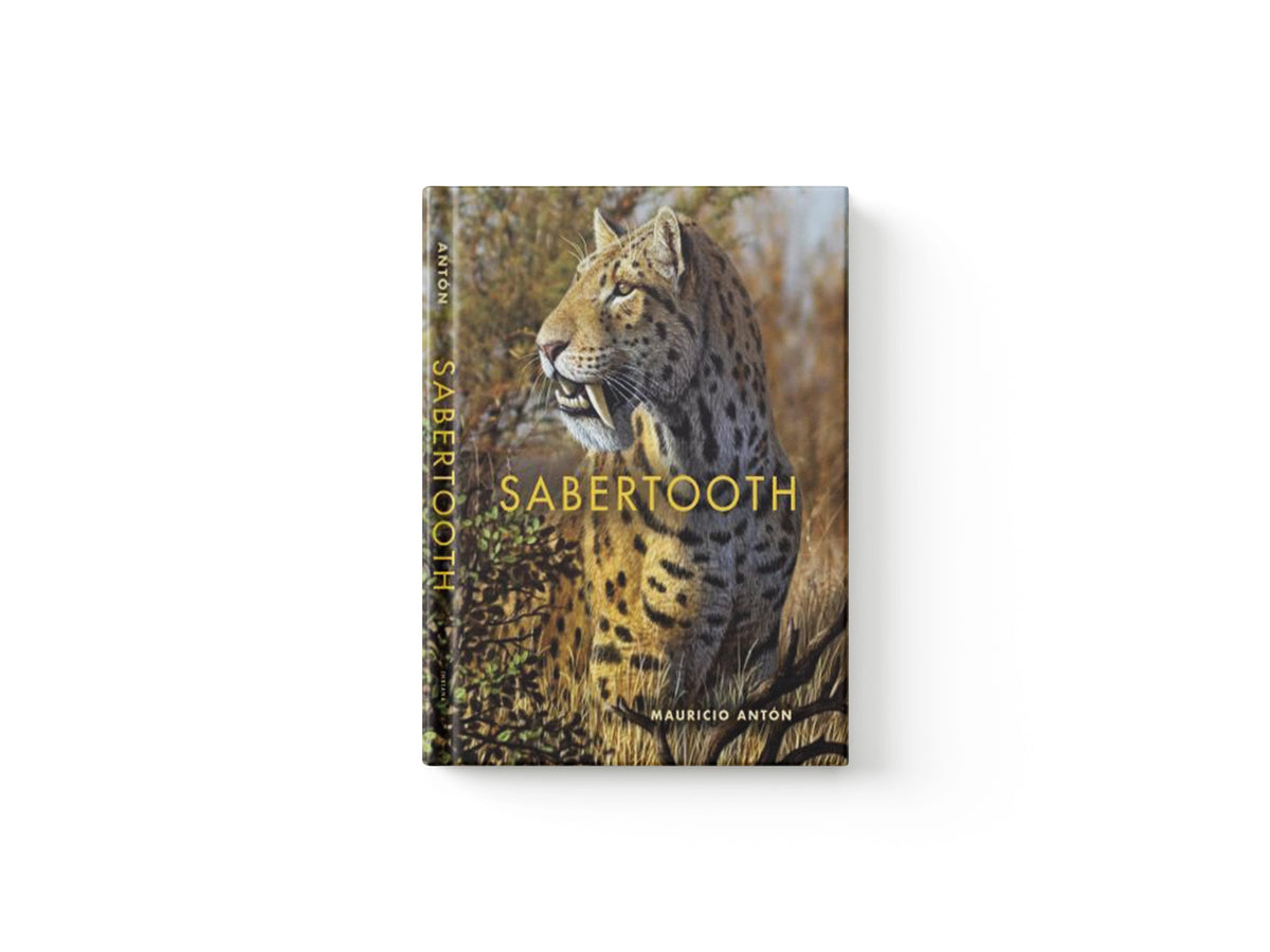 Sabertooth by Mauricio Anton; 9780253010421