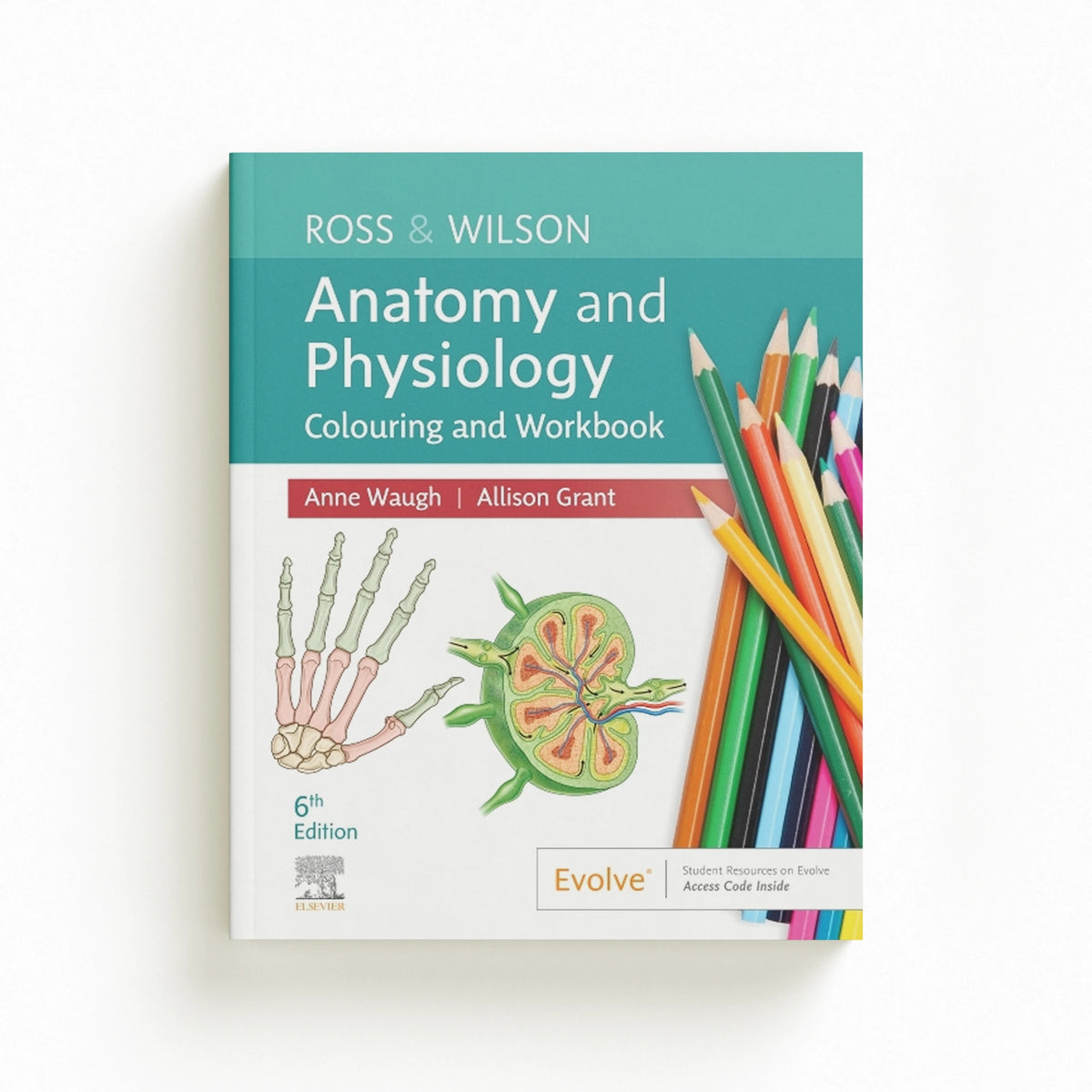 Ross & Wilson Anatomy and Physiology Colouring and Workbook