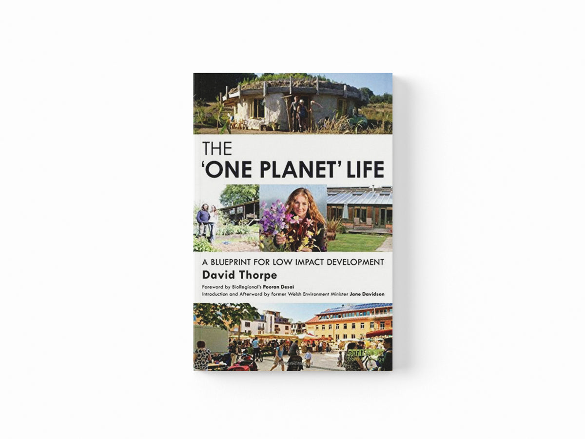 The 'One Planet' Life by David Thorpe; 9780415738552