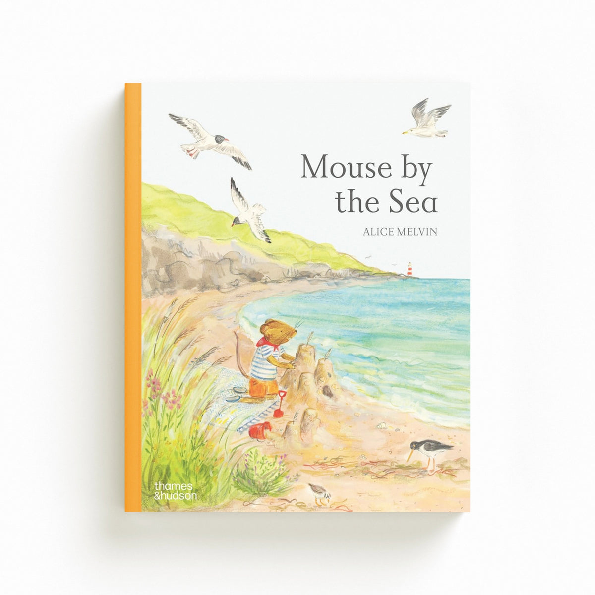 Mouse by the Sea by Alice Melvin; 9780500660379