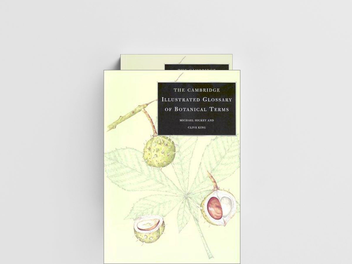 The Cambridge Illustrated Glossary of Botanical Terms by Clive King; Michael Hickey; 9780521794015