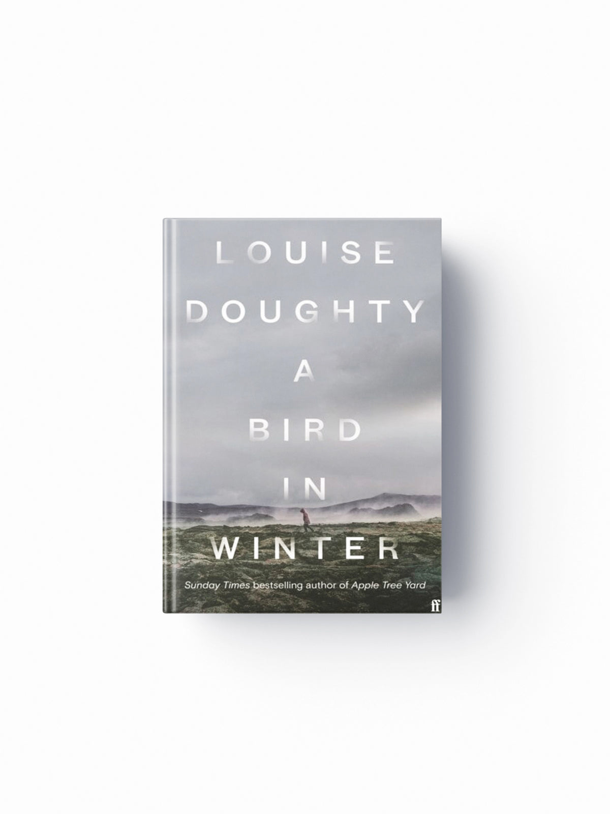 A Bird in Winter