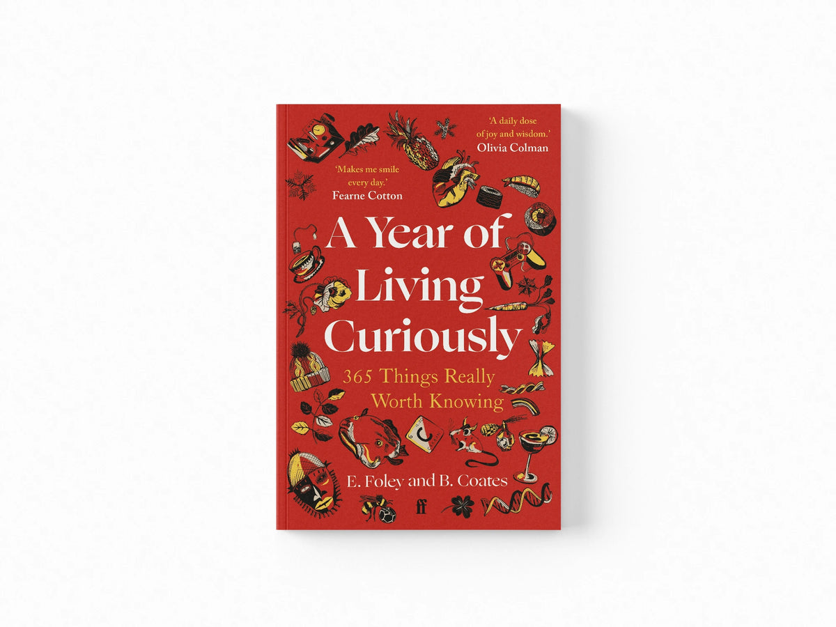A Year of Living Curiously