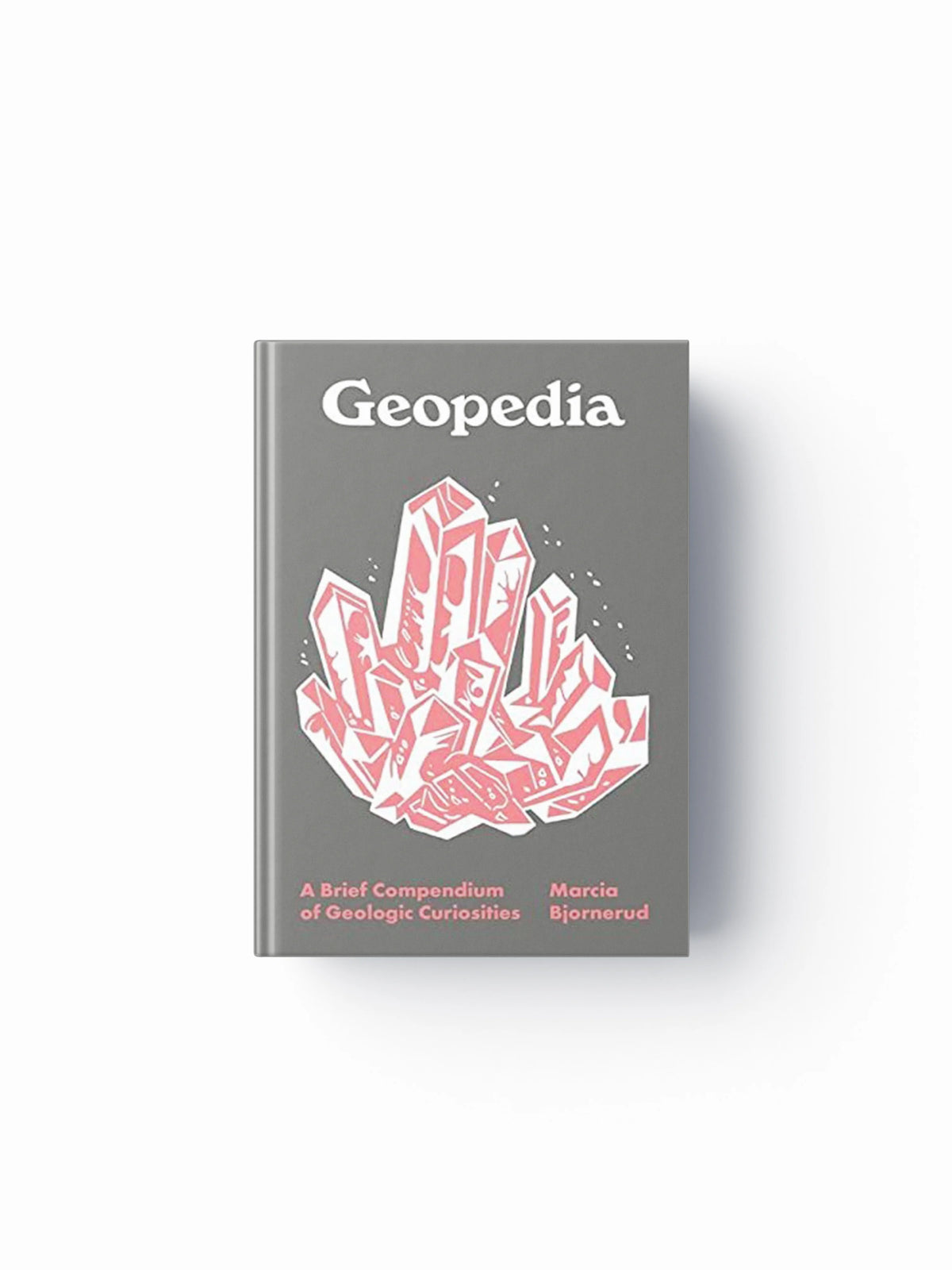 Geopedia by Marcia Bjornerud; 9780691212579