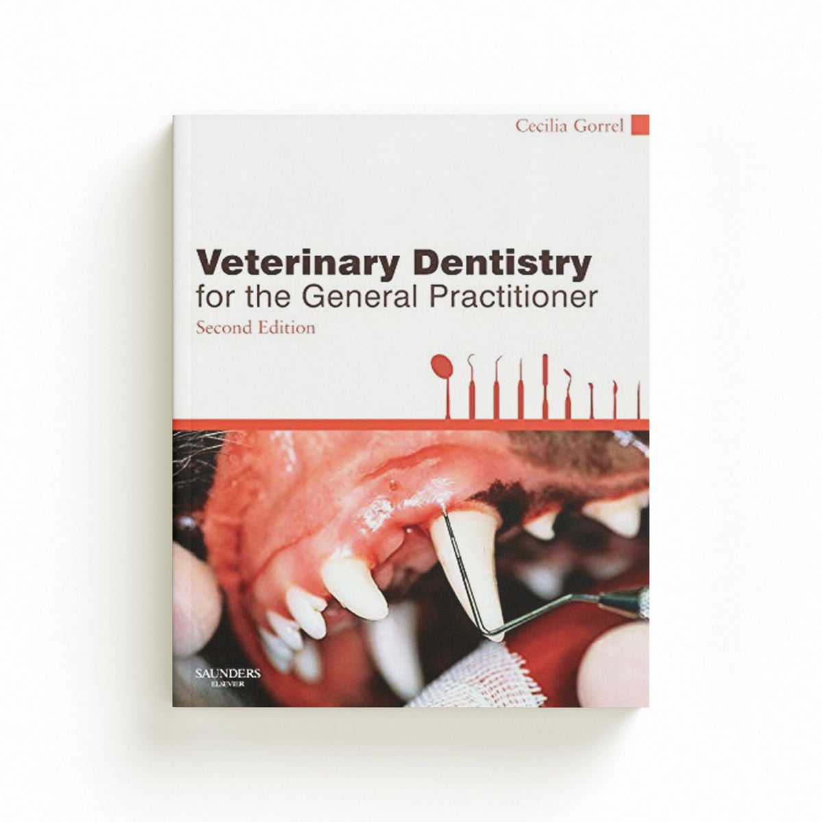 Veterinary Dentistry for the General Practitioner by Cecilia  Gorrel; 9780702049439