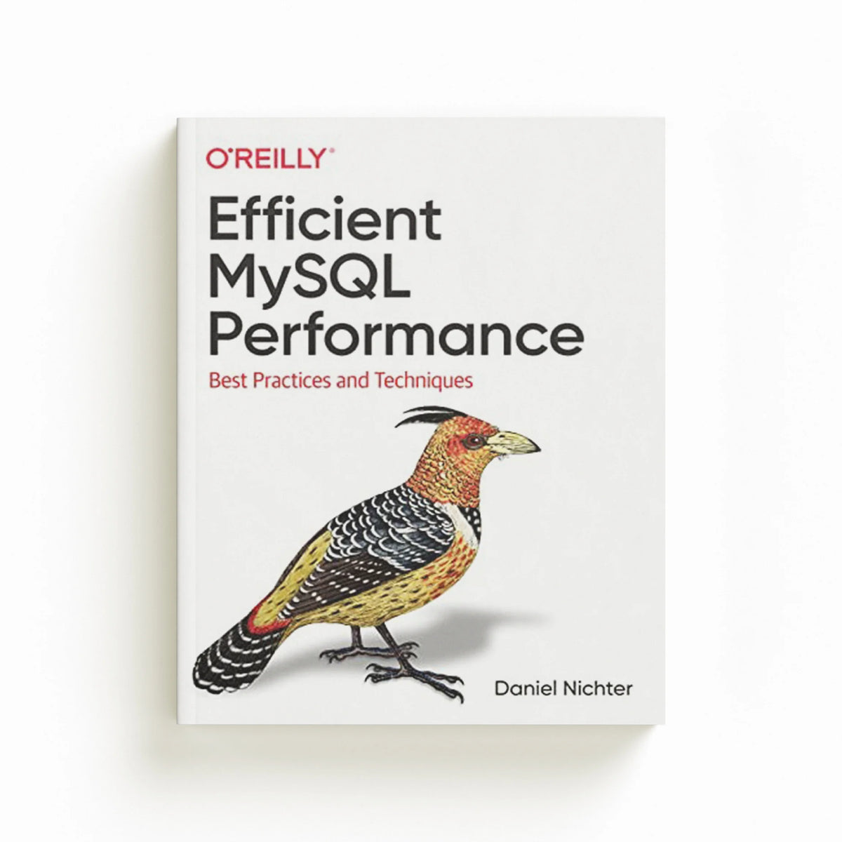 Efficient MySQL Performance by Daniel Nichter; 9781098105099