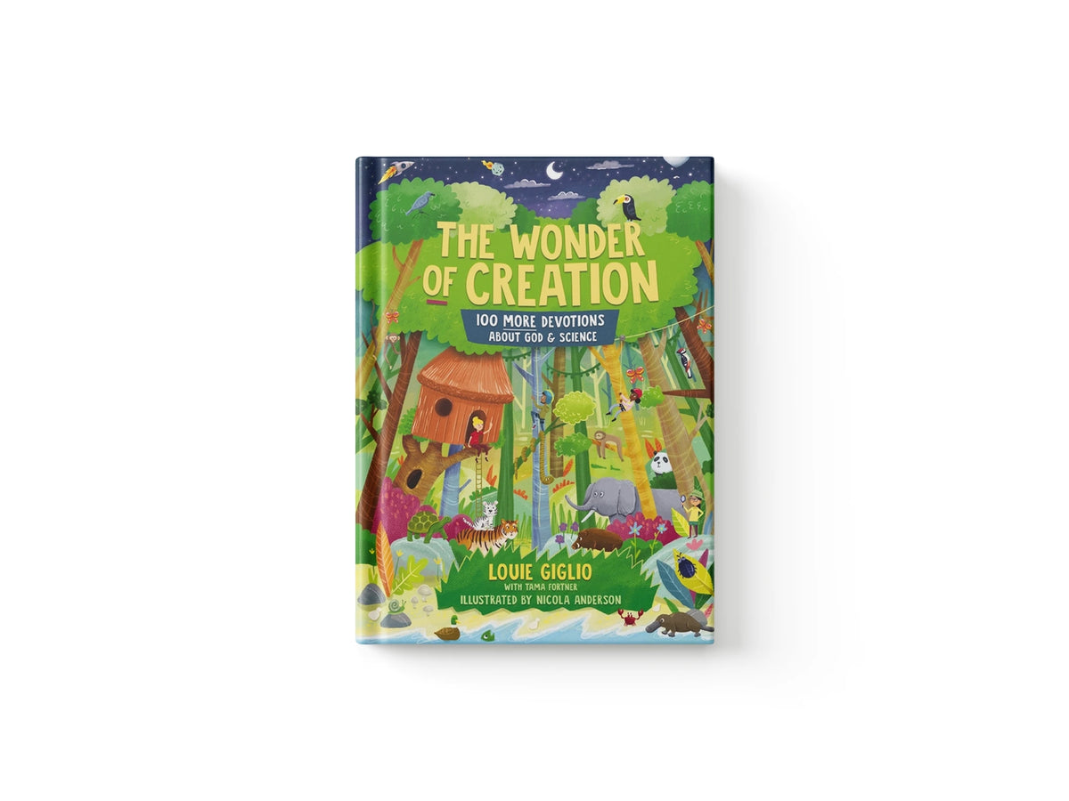The Wonder of Creation