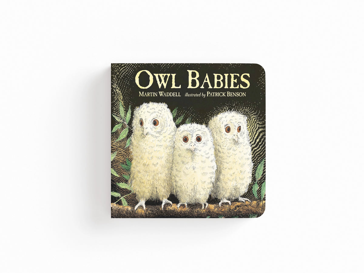 Owl Babies by Martin Waddell; 9781406374377