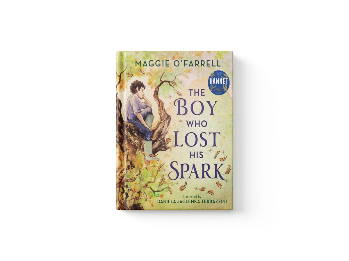 The Boy Who Lost His Spark