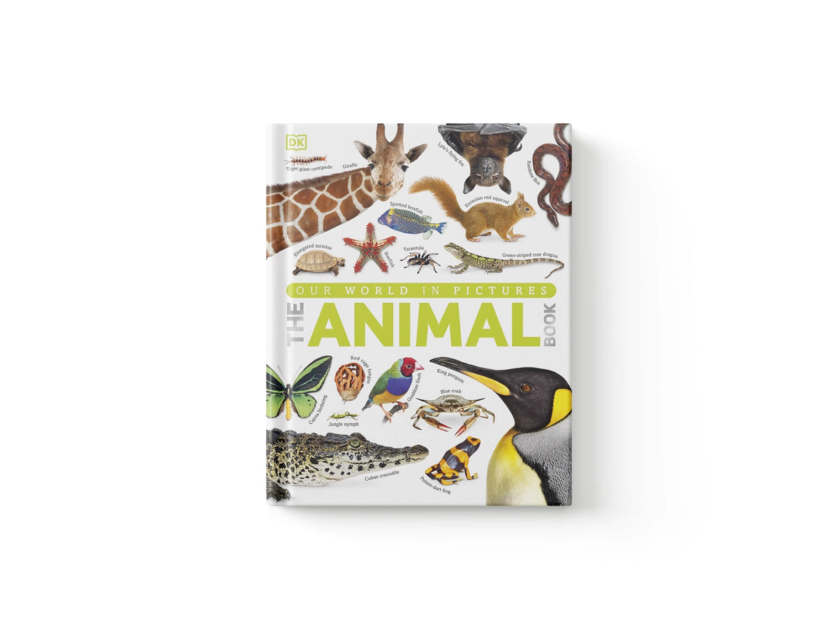 Our World in Pictures The Animal Book