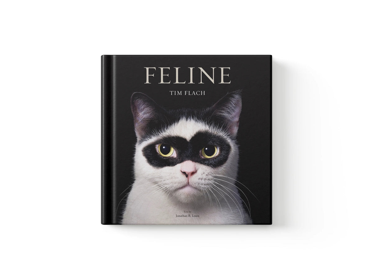 Feline