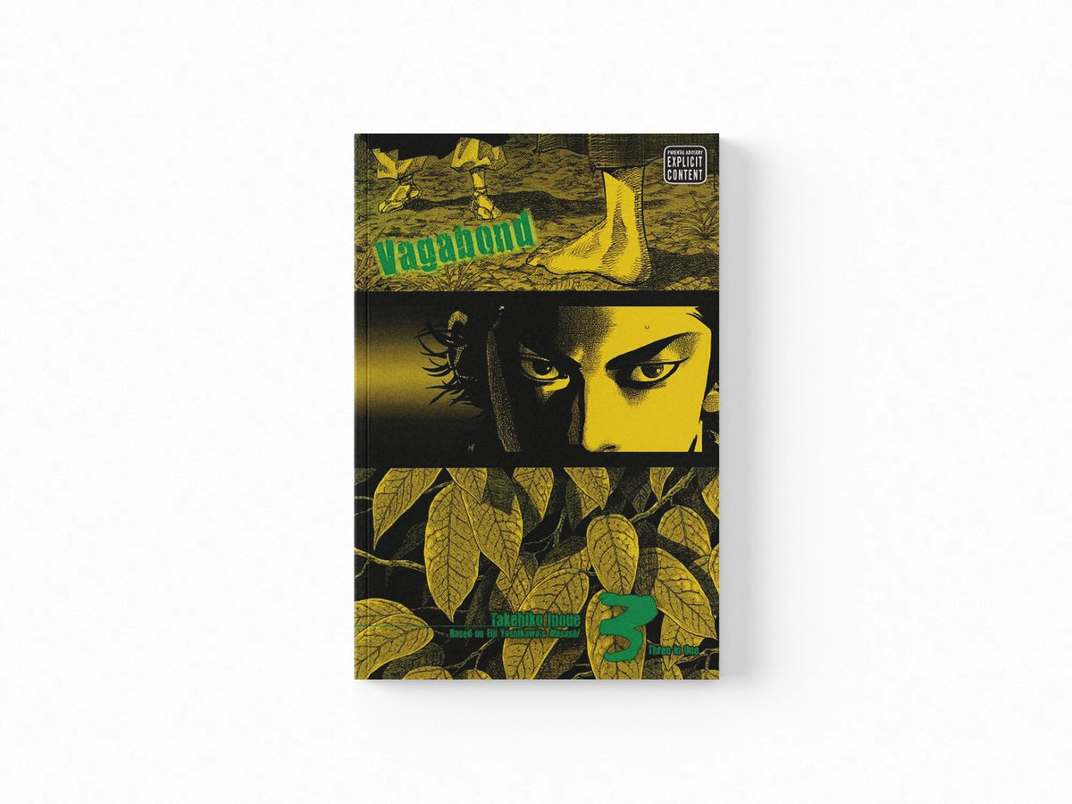 Vagabond (Vizbig Edition), Vol. 3