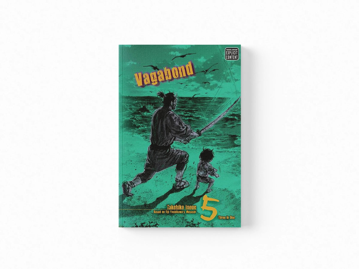 Vagabond (Vizbig Edition), Vol. 5