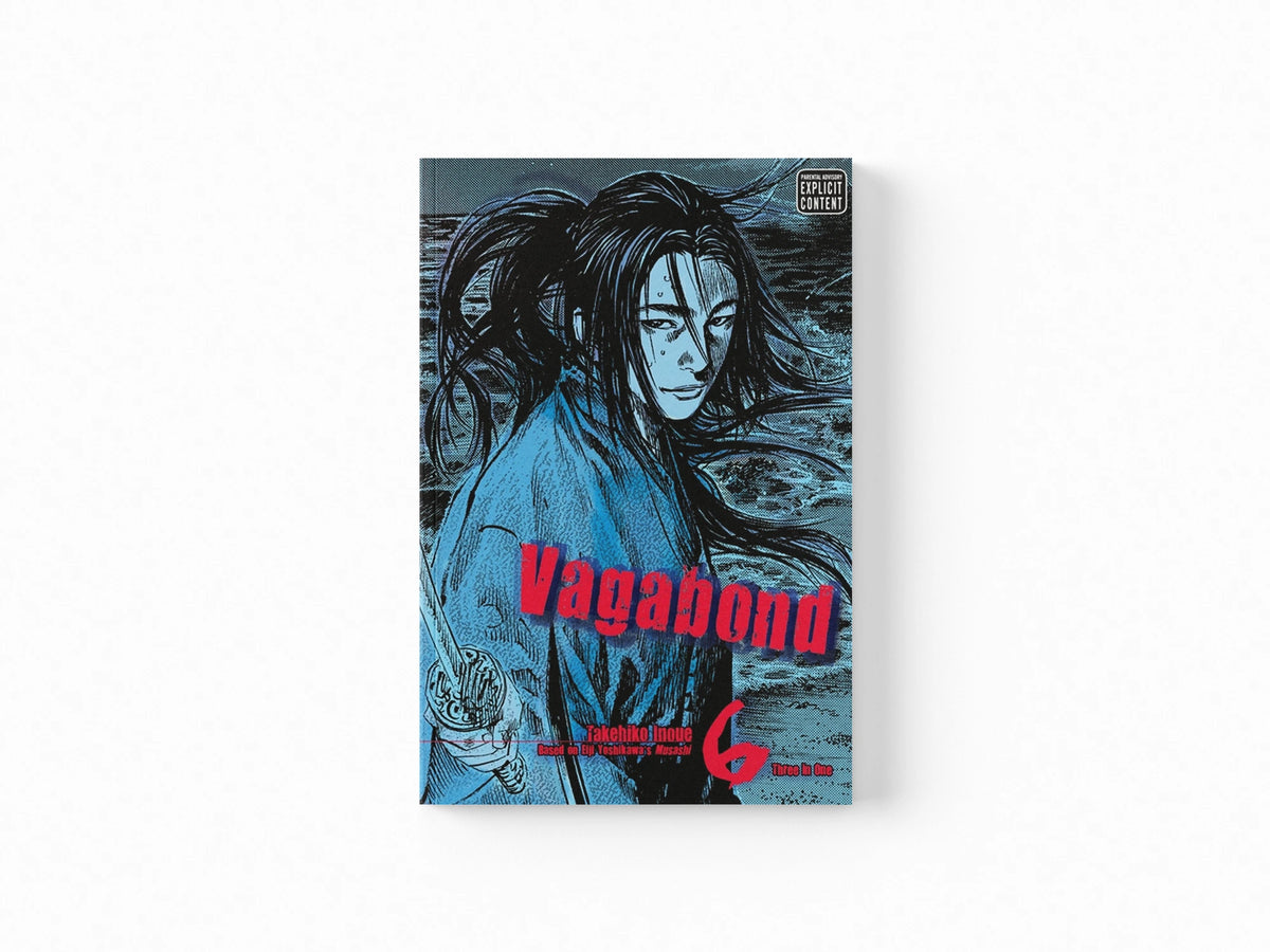 Vagabond (Vizbig Edition), Vol. 6