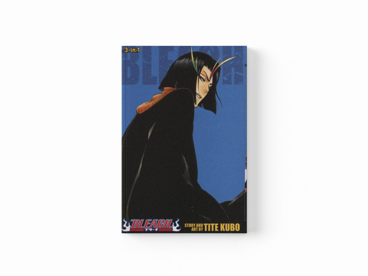 Bleach (3-in-1 Edition), Vol. 13