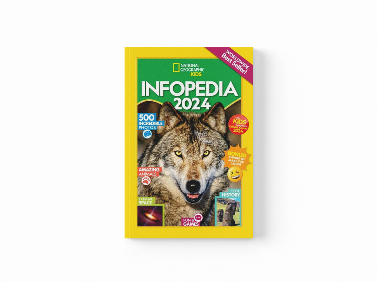Infopedia 2024