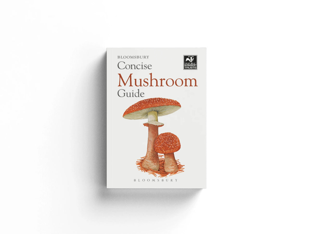 Concise Mushroom Guide