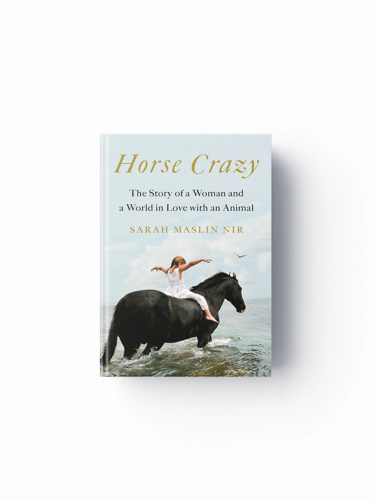 Horse Crazy