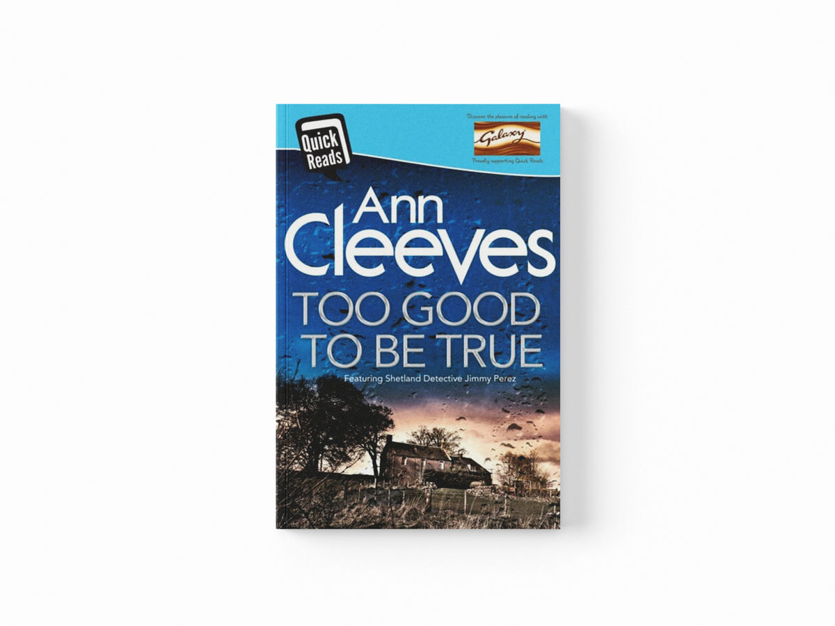 Too Good To Be True