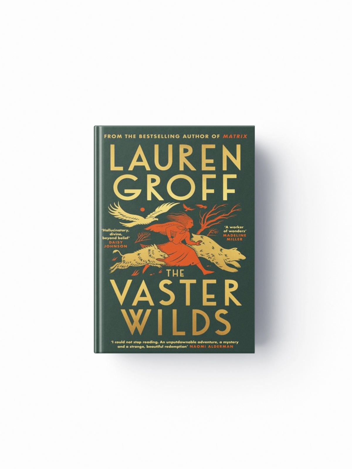 The Vaster Wilds