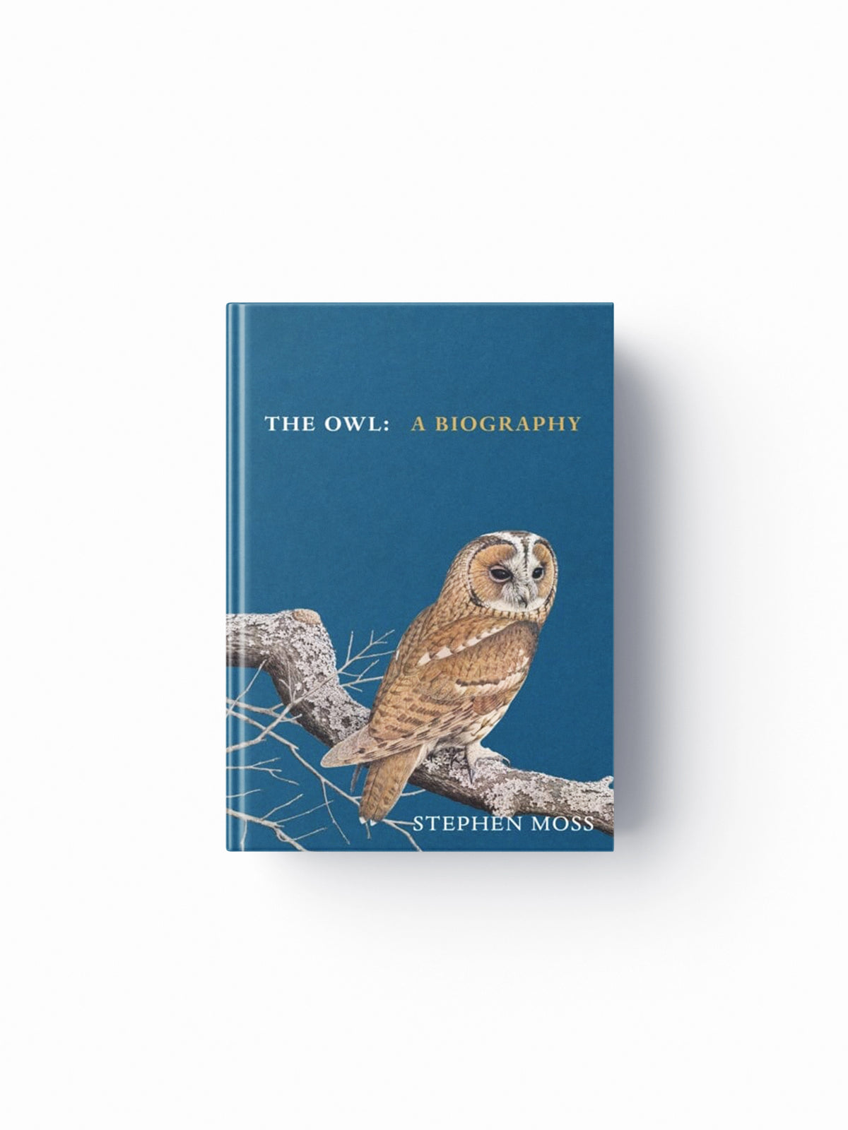 The Owl