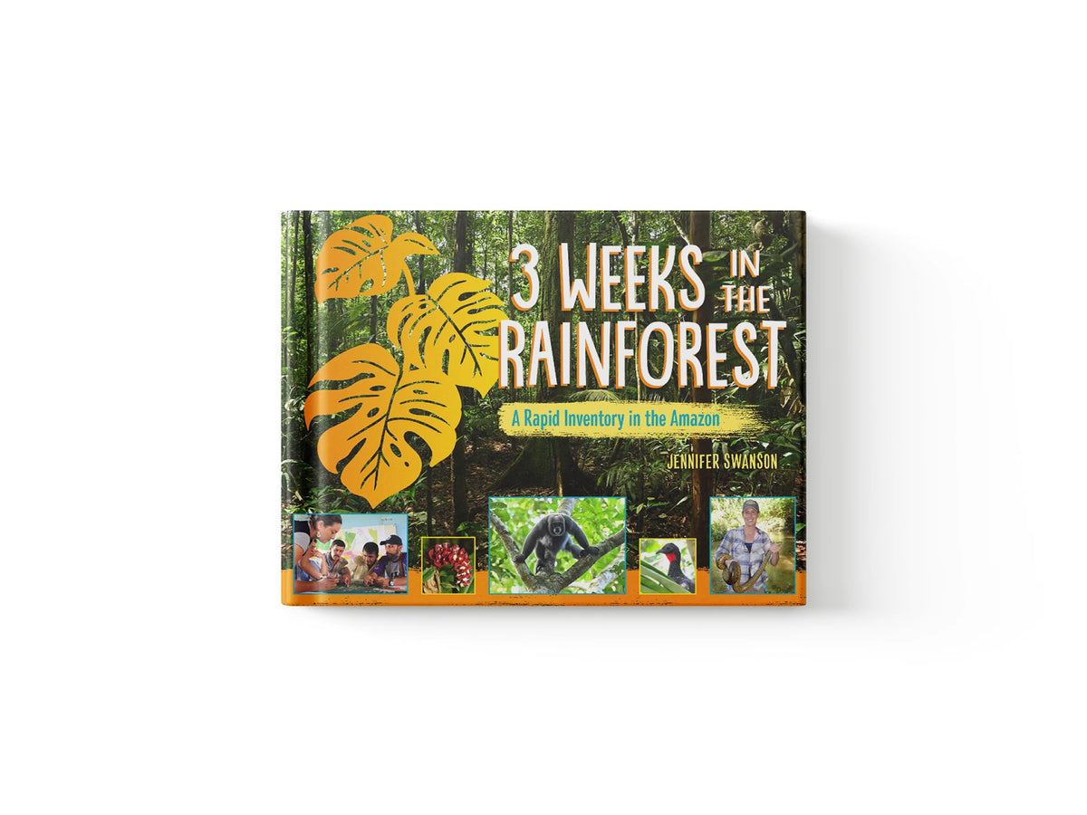 3 Weeks in the Rainforest