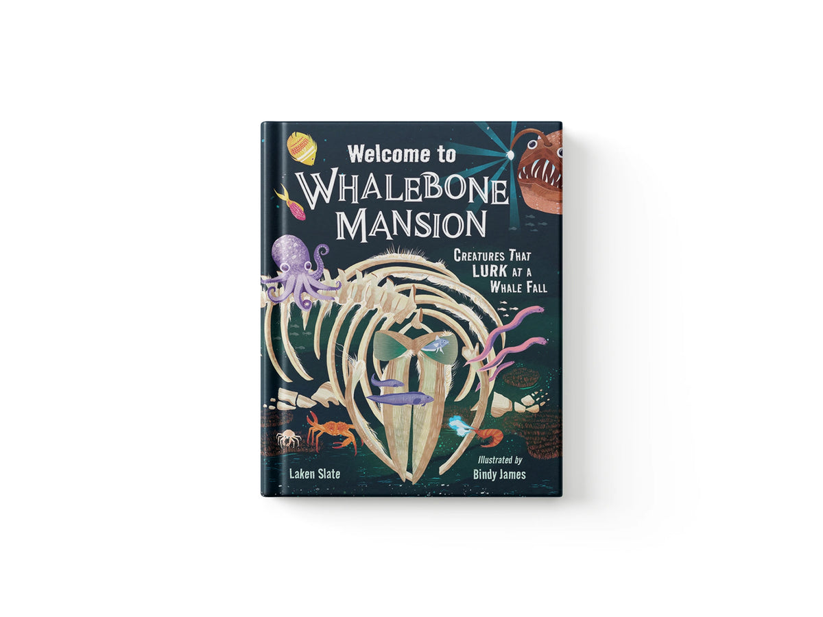 Welcome to Whalebone Mansion