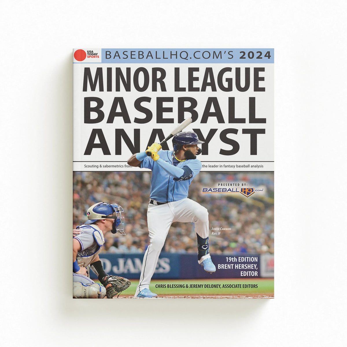 2024 Minor League Analyst