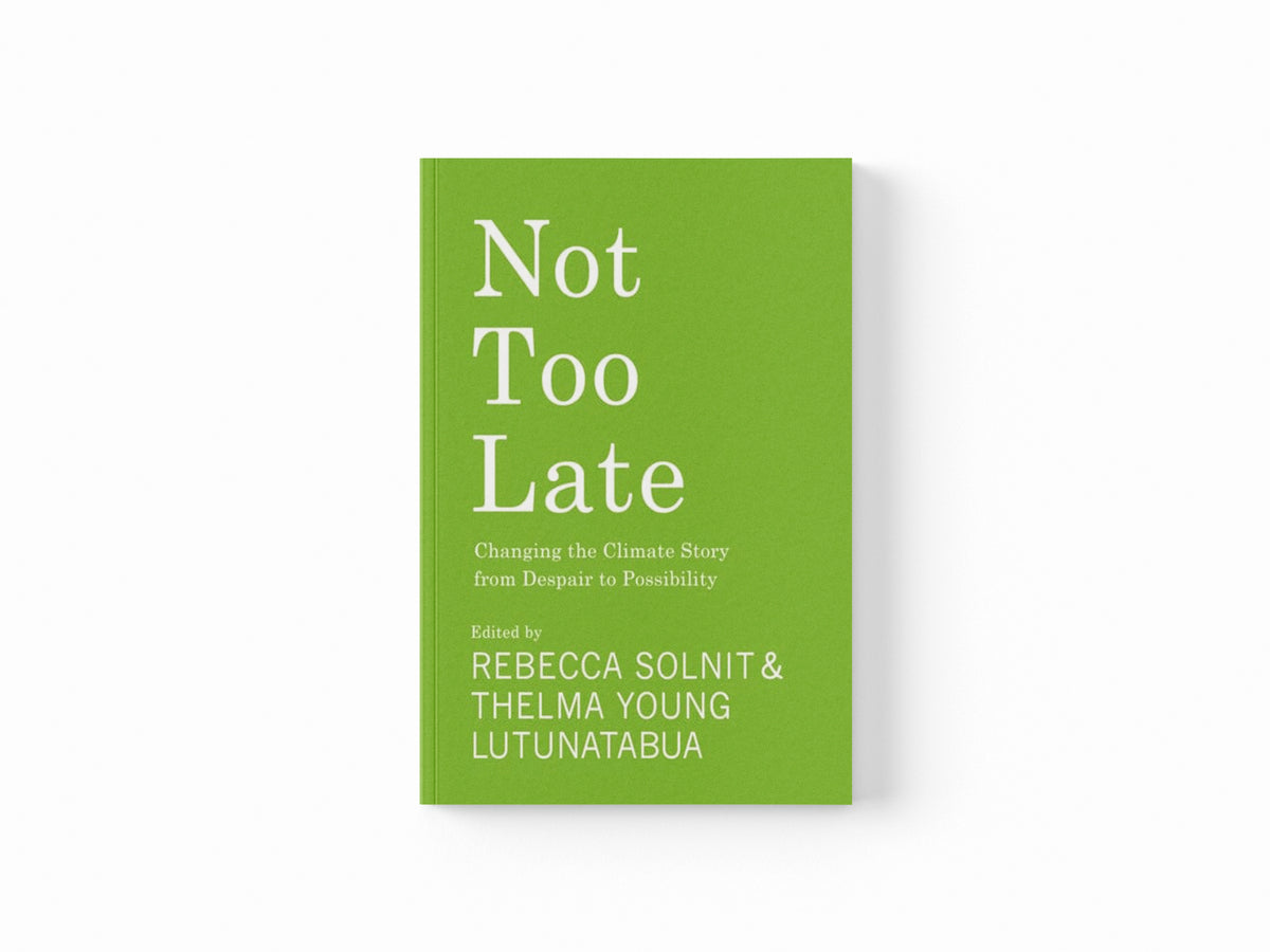 Not Too Late : Changing the Climate Story from Despair to Possibility
