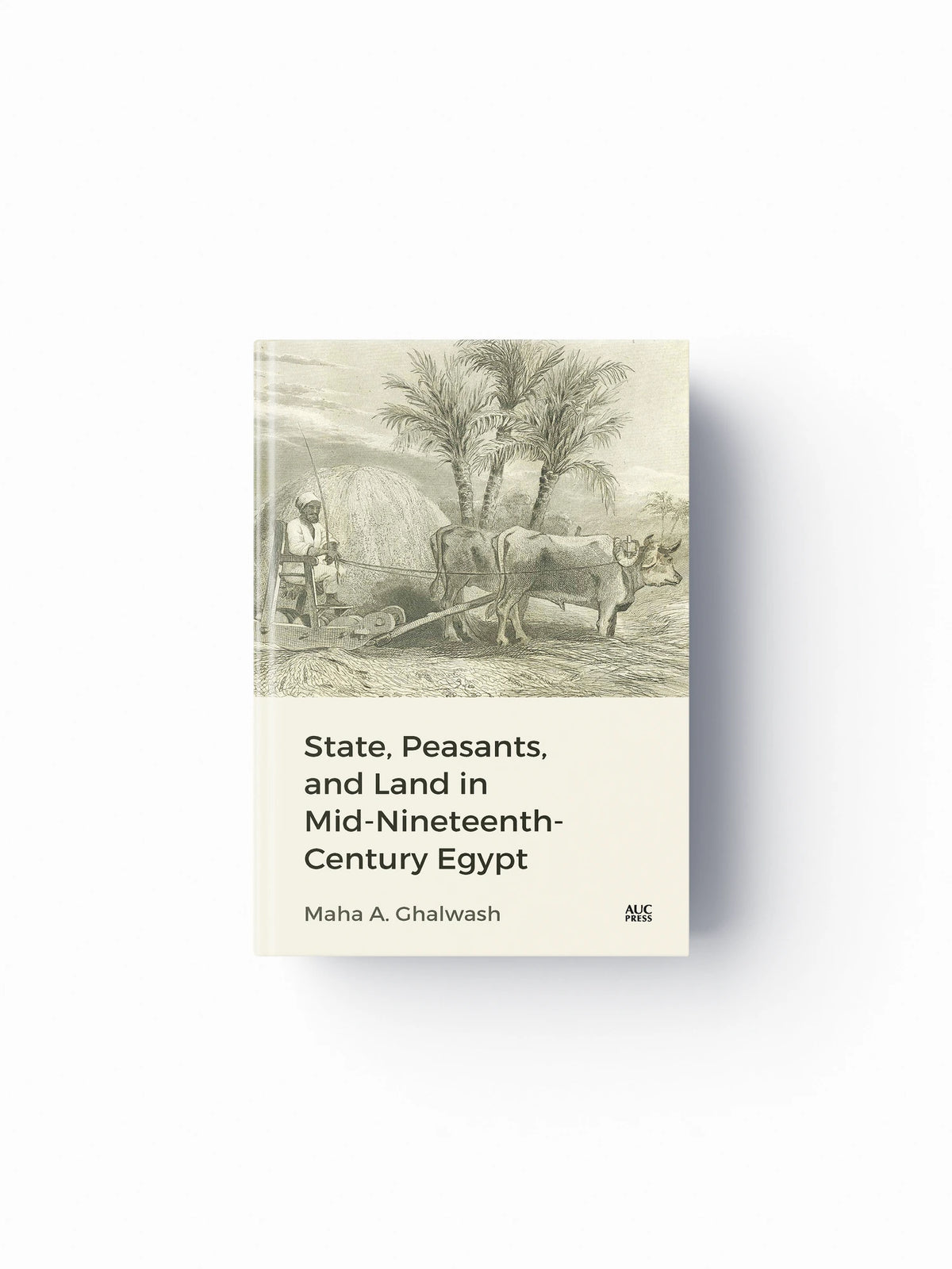 State, Peasants, and Land in Mid-Nineteenth-Century Egypt