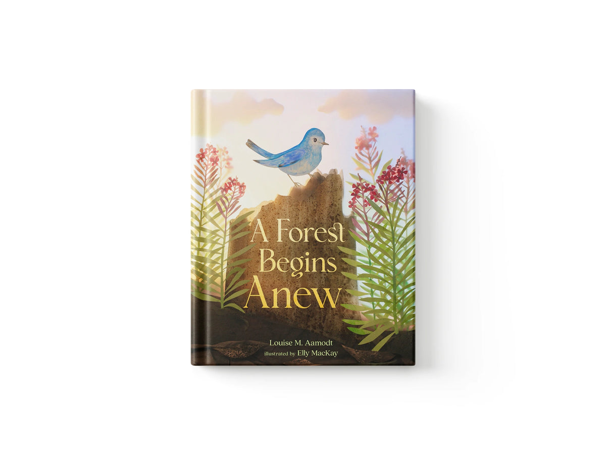A Forest Begins Anew