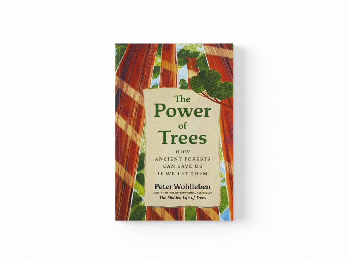 The Power of Trees