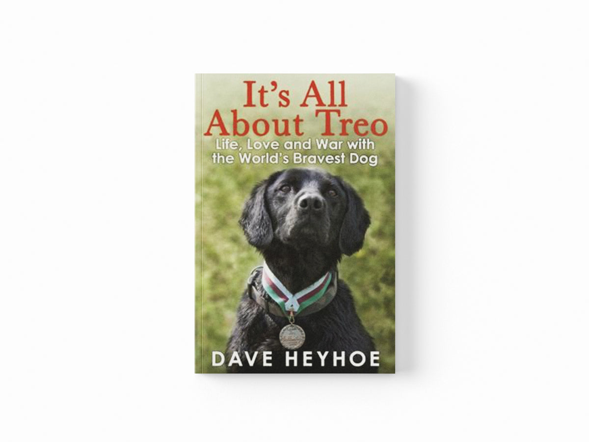 It's All About Treo by Damien Lewis; Dave Heyhoe; 9781780873992